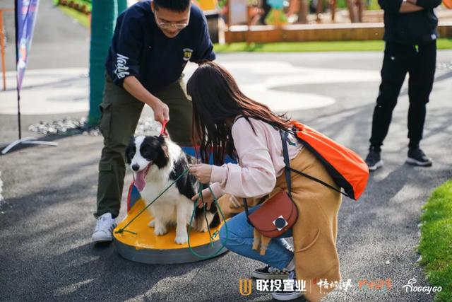 宠物运动会 宠物运动会策划方案(图10) 宠物运动会 宠物运动会策划方案(图10)