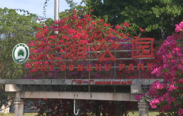 元旦将至 江门本地文娱活动有看头