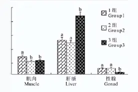 在养殖黄鳝时，如何降低其体内的脂类储存，从而促进黄鳝的生长？图片
