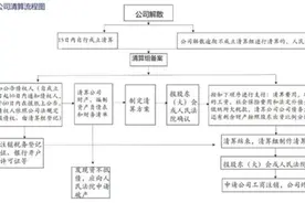 一文读懂：自行清算注销VS破产清算图片