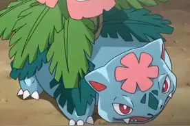 《宝可梦》所有的Mega进化中，妙蛙花凭什么是能力最平衡的？图片