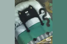 深圳的老鼠可以有多大？至少比拖鞋大图片