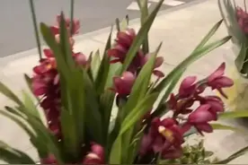外地游客：昆明你别太离谱！图片
