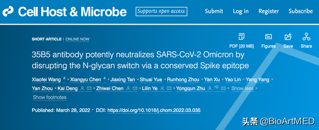 陈志伟等揭示新冠受关注变异株“全谱”中和单抗的作用机制