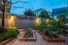 网评 | 李亚鹏种菜这事，关键细节被模糊了图片