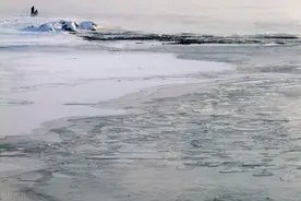 农村俗语“冬在头，冻死老牛；冬在中，单衣过冬”，冬在尾是啥？图片