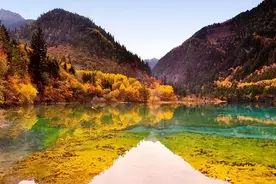 一个家庭聚财的最佳方式图片