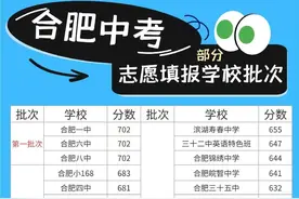 合肥中考志愿填报学校批次图片