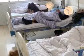 河南大爷突发疾病住院，两只狗狗一路追车8公里，病床边安静守护图片