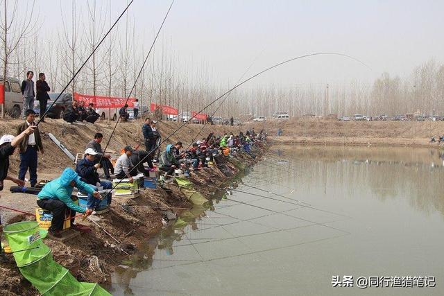 氨基酸是啥？对钓鱼有啥用？淡水鱼必须的10种氨基酸详解