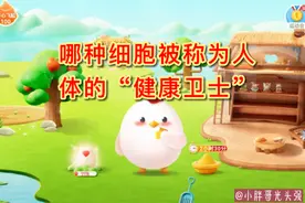 哪种细胞被称为人体的“健康卫士”？白细胞还是红细胞？蚂蚁庄园图片