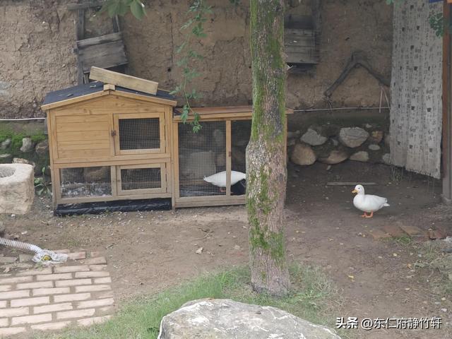 相约陕西省西安市鄠邑区蒋村街道白龙村甘河东岸一念等某人民宿