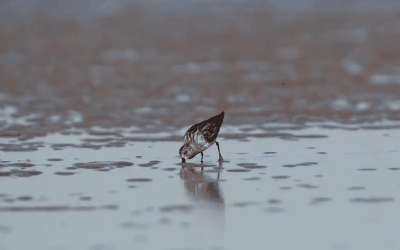 火热报名中！超好玩的亲子活动上线啦