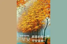 祖父母的后代们图片