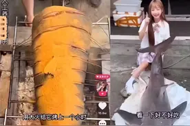 吃鲨鱼的网红女主播，最新处罚落实，社会责任感是行为底线图片