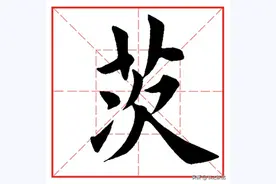 每日一字539：茨图片