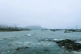 大海的情怀图片