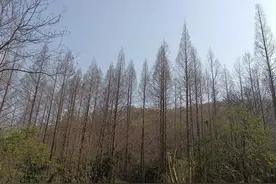 你不在的日子图片