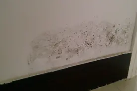 墙壁发霉变黑怎么处理？分四个步骤，轻松解决图片