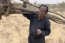 林场主跪地求水，牵扯出贪腐大案图片