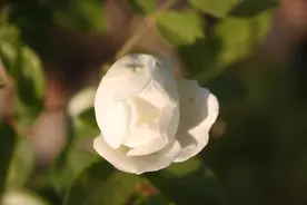 女人和你这样“开玩笑”，其实就是暗示你“捅破窗户纸”，别不懂图片