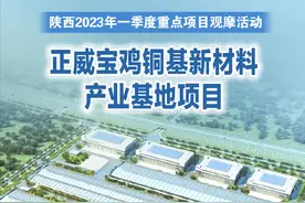 正威宝鸡铜基新材料产业基地项目图片