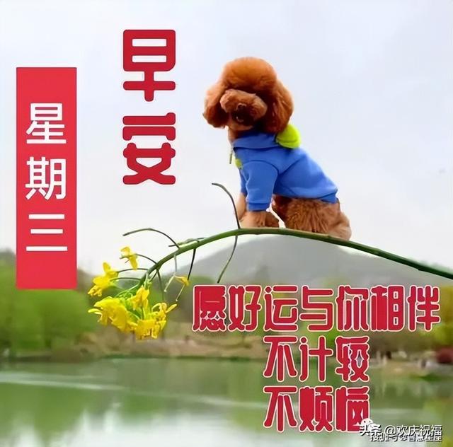 7月20日周三早上好表情大全，感恩有你，时光不老，陪您永永远远