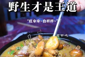 速看！在孝感，我发现一家能吃野生菌的宝藏馆子图片