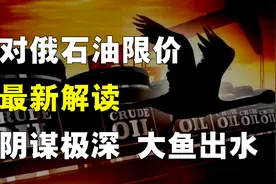 对俄石油限价最新解读！谁流血、谁喝汤、谁吃肉？大鱼浮出水面图片