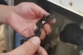 河南一男子修洗衣机找到4年前丢失41g的金项链，金价升值翻了一番图片