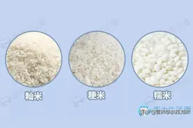 天天吃大米，你了解它多少呢？它也有缺陷，特别推荐两款花样吃法图片