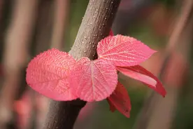 一个人和谁结婚，其实是命中注定的，三个地方会告诉你答案图片