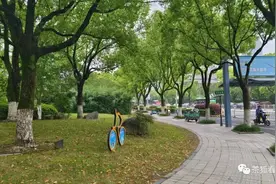 从马路上的一个普通细节，看中美两国的区别图片