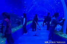 【石家庄市动物园开展世界海洋日主题活动】图片