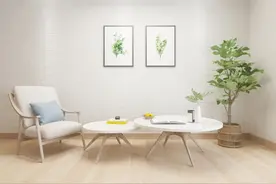 和男朋友一起养鹦鹉是什么体验？图片