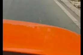 泰迪被遗弃后，在马路上狂奔2公里！跑得都快飞起来了，多着急啊图片