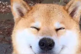 汉人不吃神秘禁忌图片