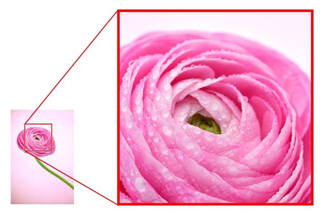 尼康Z8相机升级全新3.00固件：大幅提升自动对焦性能