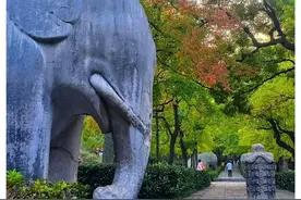 佛光（丁达尔光/耶稣光/）洒神道图片