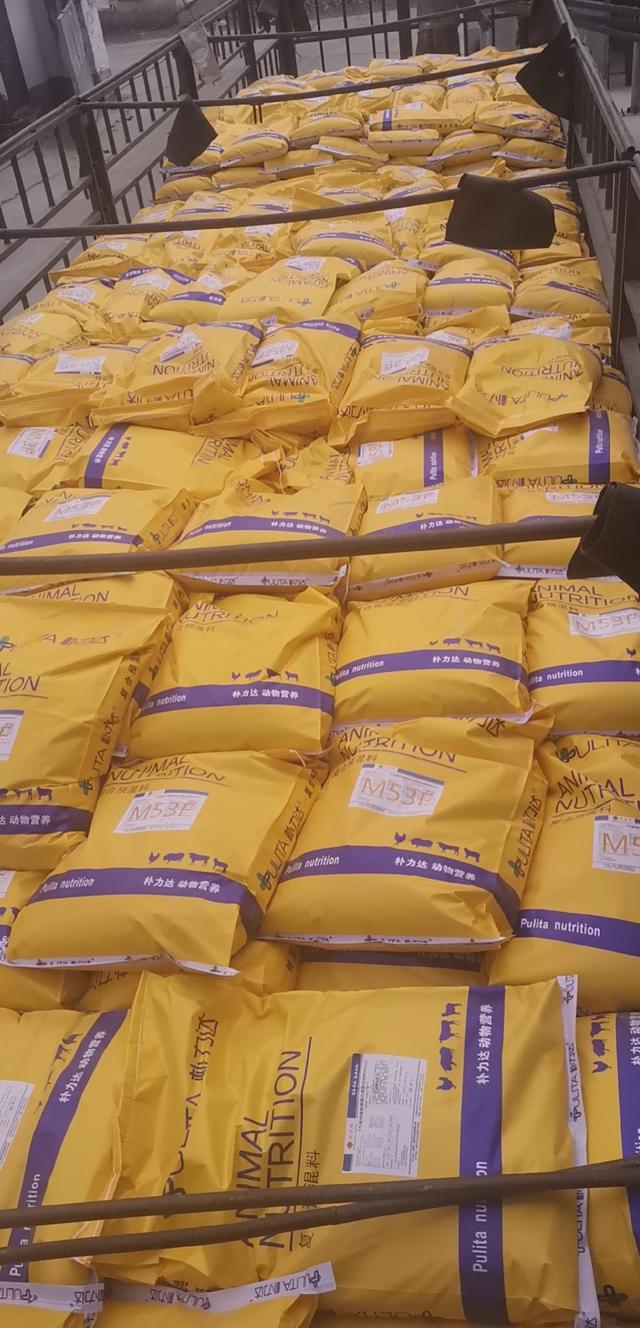 饲粮氨基酸的平衡