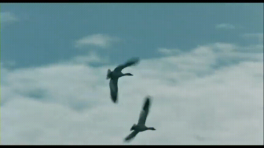 暑期强烈推荐！5部高分纪录片，知识点满满，一定要带孩子看