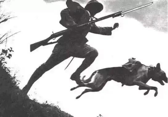 1939年日军“狼狗部队”无人可挡，董翰良猛拍大腿：怎么把它忘了