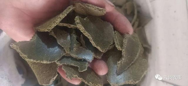 养猪的常用饲料介绍（专业文章建议收藏）