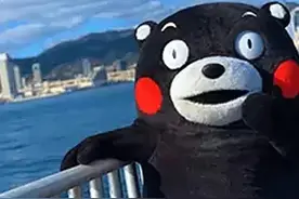 内向的男生该怎么追女生图片