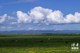 回家过年，我发现了3个残酷真相图片