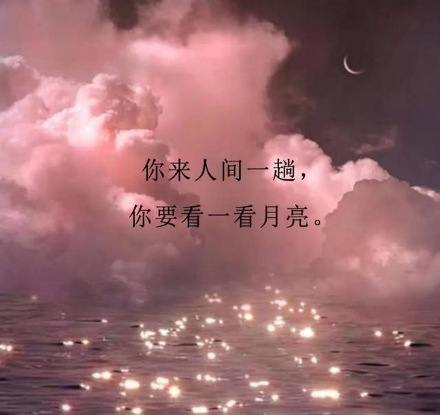 爱情语录
