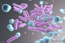 常见西药分类：只花2分钟，对眼花缭乱的西药有个清晰的认识图片