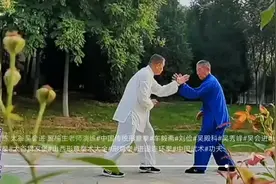 「吴殿科系形意拳」十六把之“拘马拚”浅谈图片