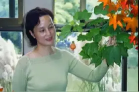 纪念缅怀挚友（诗1词3）图片