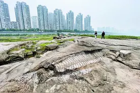 锤钎叮当 南滨路刻出现代版“白鹤梁”图片